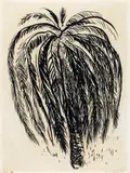 Brett Whiteley, Palm Tree 2 1975, 1975, screenprint