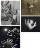 Max Dupain, collection of four silver gelatin photographs