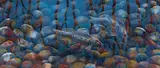 Lin Onus, Bulla Goonya (Two Fish)