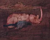 Rhinoceros 1963 by Sidney Nolan, 1963, oil and dye on paper, sold Mar 2021