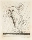 Brett Whiteley, Hullo (Cockatoo) 1980, 1980, etching