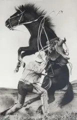 Michael Zavros, Prince/Zavros 2013, 2013, charcoal on paper
