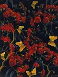 Lin Onus, Butterflies, Sherbrooke Forest c1994, c1994, synthetic polymer paint on compressed card