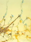 John Olsen, Giraffes and Balloon 2010