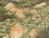 Lin Onus, Red Rocks II c1978