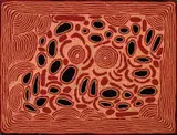 Ningura Napurrula, Women's Dreaming 2004, 2004, synthetic polymer paint on linen