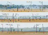 Fred Williams, Grass Trees in Landscape, Deception Bay c1971