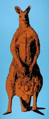 Reko Rennie, Bora (Big Red Blue) 2009, 2009, synthetic polymer paint on linen
