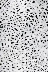 Emily Kame Kngwarreye, Bush Yam Dreaming 1994, 1994, Bush Yam Dreaming
