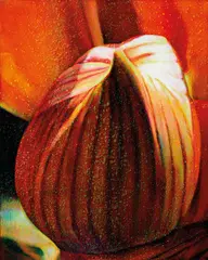 Tim Maguire, Untitled 20040617 2004, 2004, oil on canvas