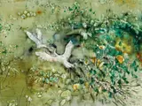 William Boissevain, Crocodile and Ibis 1981