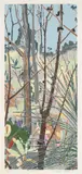 Cressida Campbell, The Bush 1988, 1988, colour screenprint