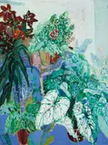 Elisabeth Cummings, Pot Plants c1977