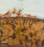 John Olsen, Rydal - Grevilleas and Honeyeaters 1999, 1999, watercolour, pastel and acrylic on paper