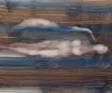 Untitled (Leda and the Swan) c1959 by Sidney Nolan, c1959, mixed media on paper, sold Jun 2019