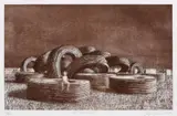 Jeffrey Smart, The Cable Coils 2001, 2001, etching and aquatint