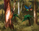 Albert Tucker, Parrot in the Bush