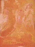 Emily Kame Kngwarreye, Awelye 1993