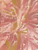 Arlatye 1995 by Emily Kame Kngwarreye, 1995, synthetic polymer paint on canvas, sold Nov 2018