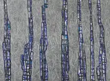 John Peart, Formations and Figures V 1987, 1987, synthetic polymer paint on canvas