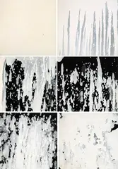 Robert MacPherson, Sarah's Merle 1976-77, 1976-77, enamel on canvas (6)