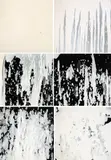 Robert MacPherson, Sarah's Merle 1976-77, 1976-77, enamel on canvas (6)
