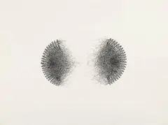 Patricia Piccinini, Untitled, ink on paper