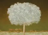 Gregory Pryor, Flowering (Study) 2008-09, 2008-09, oil on linen