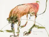 John Olsen, Depressed Old Monkey, crayon and ink on paper