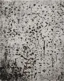 Fred Williams, Forest of Gum Trees 1965-66, 1965-66, etching, flat biting and mezzotint rocker