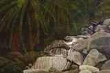Lin Onus, Sherbrooke Falls 1974