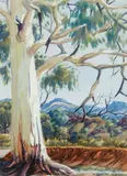 Untitled (Ghost Gum in Central Australian Landscape) by Albert Namatjira, watercolour on paper, sold Aug 2017
