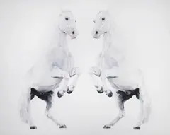 Michael Zavros, Double Levade 2004, 2004, oil on canvas