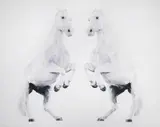 Michael Zavros, Double Levade 2004