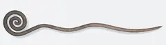 Bronwyn Oliver, Spiral V 2002, 2002, copper