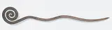 Bronwyn Oliver, Spiral V 2002, 2002, copper