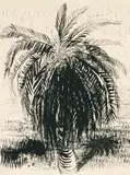 Palm Tree 1 1975 by Brett Whiteley, 1975, screenprint, sold Aug 2017