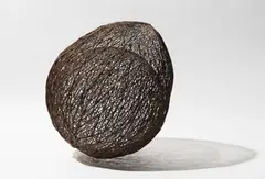 Acorn 2005 by Bronwyn Oliver, 2005, copper, sold May 2017