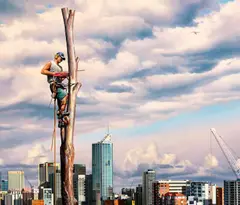Peter Smets, Last Tree Standing, oil on canvas