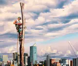Peter Smets, Last Tree Standing