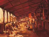 D'Arcy Doyle, Shearing the Rams c1970, c1970, oil on board