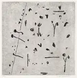 Fred Williams, Hillside Number 2 1965-66, 1965-66, etching, aquatint, drypoint and mezzotint rocker, 2nd state of 3