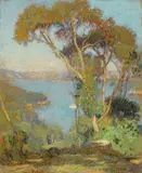 Hans Heysen, Part of Sydney Harbour 1908