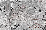 Ningura Napurrula, My Country, synthetic polymer paint on canvas