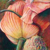 Tim Maguire, Untitled 20110111 2011, 2011, oil on canvas