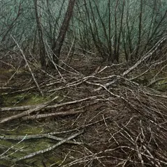 Nicholas Blowers, Narcissus No. 4 2005, 2005, oil on canvas