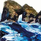 Neil Frazer, Sea Through Study 2013