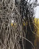 Andrew Browne, Periphery No.15 2010