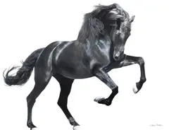 Lawrence Starkey, The Black Stallion, oil on canvas