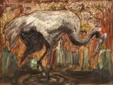 Albert Tucker, Brolga 1963